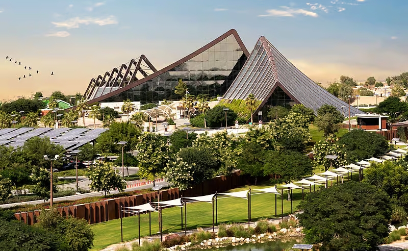 Dubai Safari Park to Reopen on October 12th With New Royal Safari