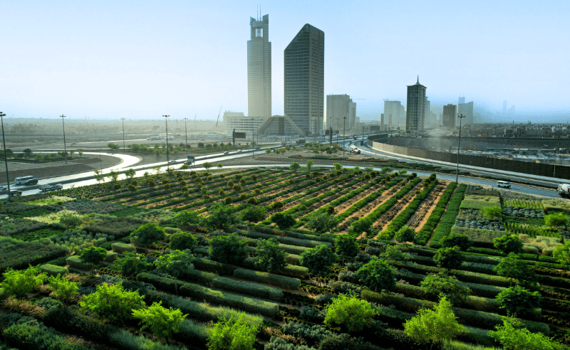 Vegetation Cover Center Opens 103 Green Investment Opportunities