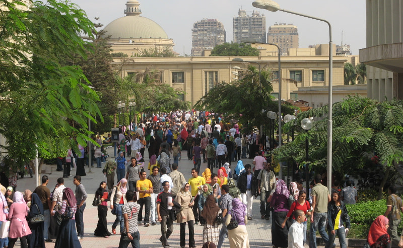 PM: Egypt's Unemployment Rates Reach Lowest Level in History at 5.8%