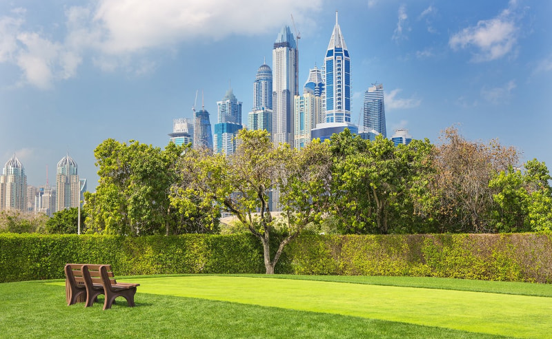 Dubai Municipality to Plant 3.5 Million Trees By 2040