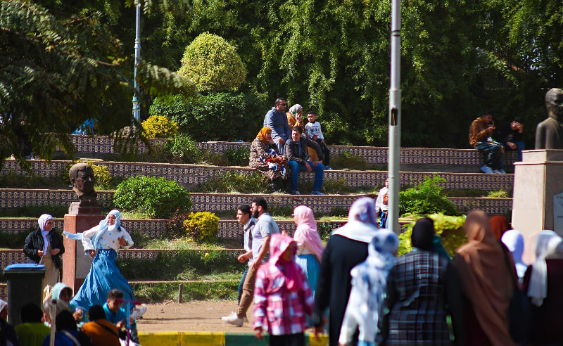 Minimum Pension in Egypt to Rise to EGP 2,080 in January 2027