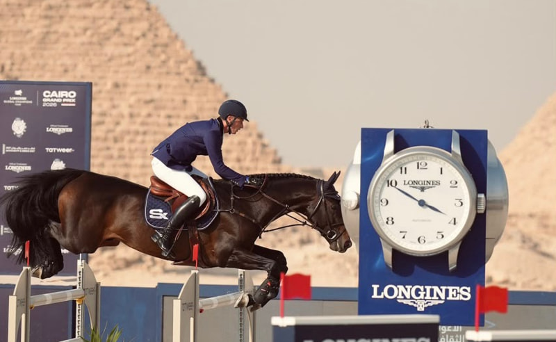Five-Year Welfare Initiative Announced for Working Horses in Giza