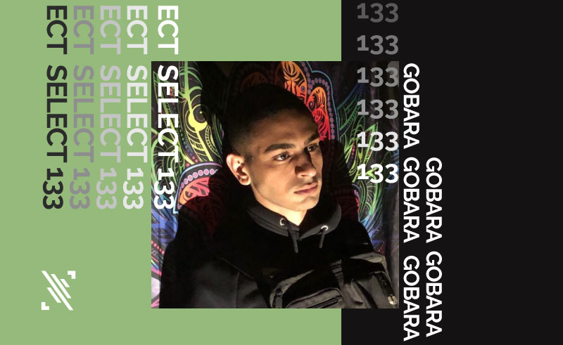 Select 133: Mixed by Gobara