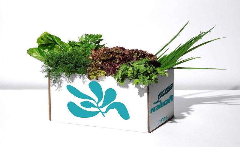 From Seed To Plate, Nabat Farms Is Taking ‘Farm-To-Table’ To New Level