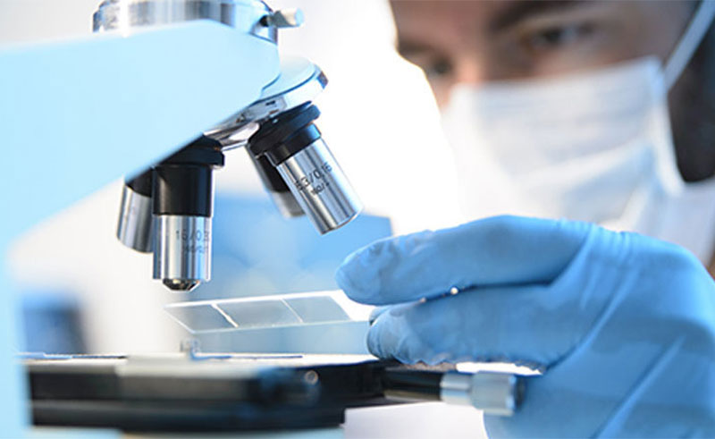 Moroccan Medtech DataPathology Raises Fresh Investment from WitamaxOne