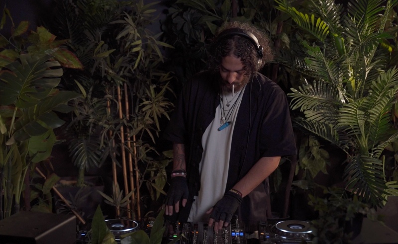 Houseplant 018 - Assyouti