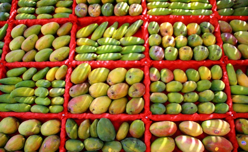 Di Manga: Everything Is Mangoes & Nothing Else Matters at This Farm