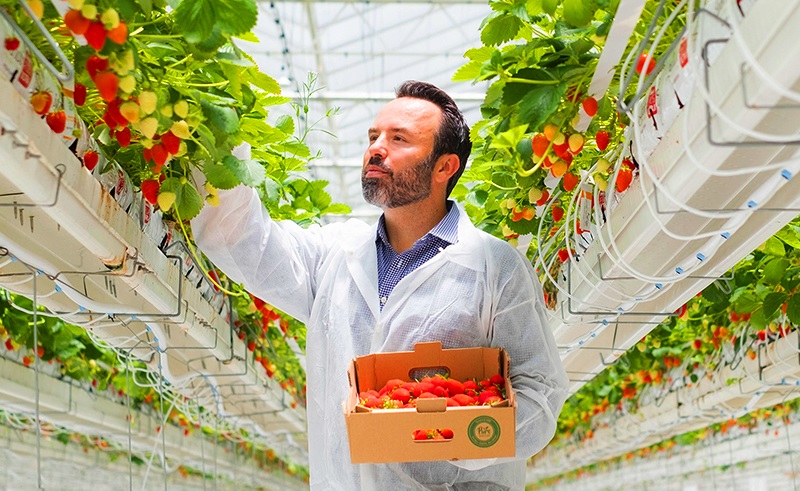 How Pure Harvest is Addressing the Region’s Food Security Challenges