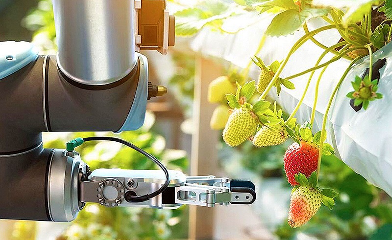 The UAE's Rise as the Next Foodtech Hub of the Middle East