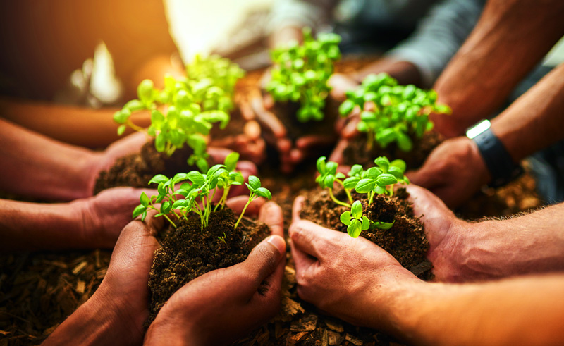 How Startups in the MENA Region are Embracing Sustainability