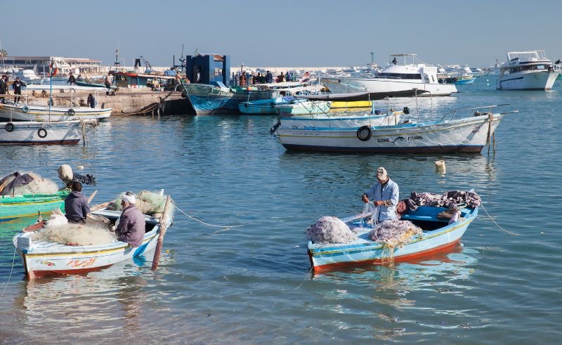 Fishing is Now Banned on Egypt's Red Sea Coast Until October