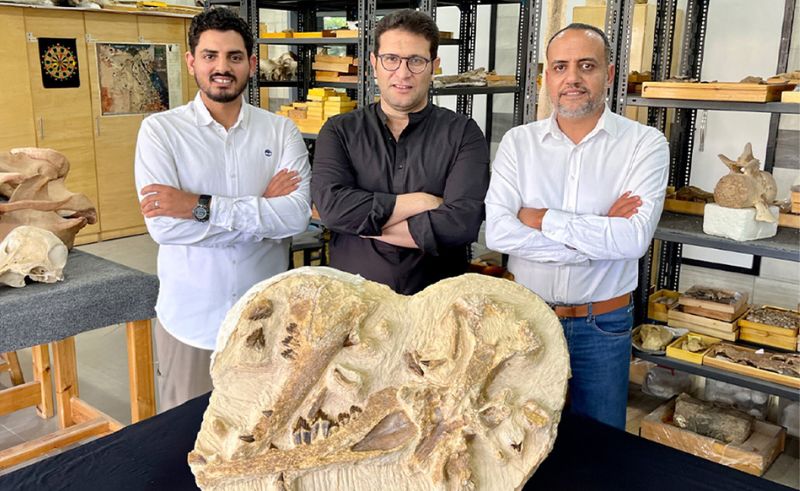  41 Million Year Old Whale Miniature Fossil Discovered in Fayoum