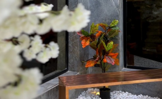 Bringing Japanese Garden Serenity Inside This New Cairo Home