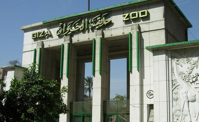 Giza Zoo & Orman Garden Will Be Developed With EGP 832 Million