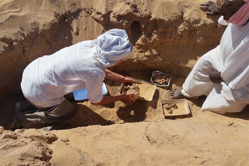 Ancient Egyptian Skeleton Unveils Early Rheumatoid Arthritis Case