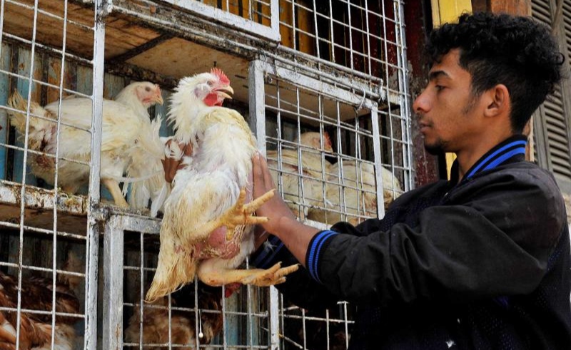 Government Sets New Reduced Prices for Chicken & Eggs