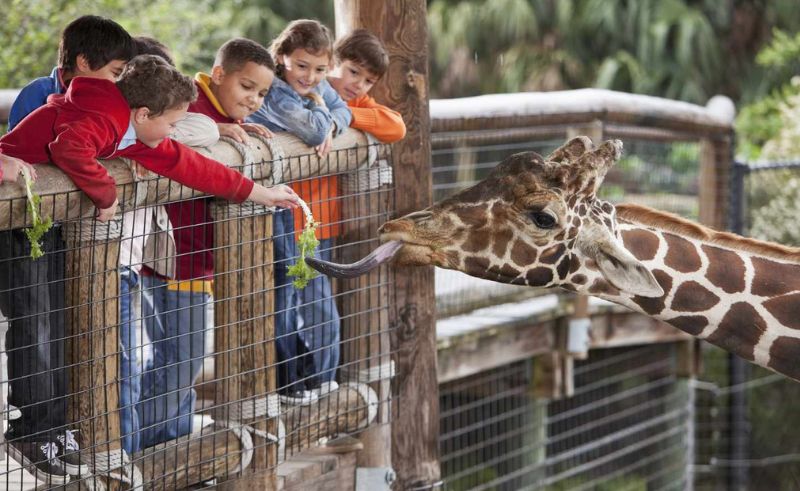 Dubai’s Jumeirah Zoo is Reopening After Seven Years
