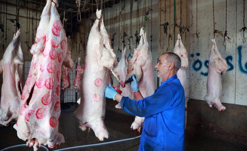 Free Slaughterhouse Services for Eid Al Adha Offered in Cairo