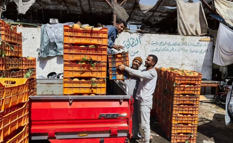 1.1 Million Tons of Citrus Fruit Exported From Egypt Over Six Months