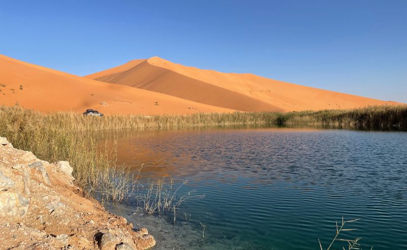Aramco Plans to Establish Natural Reserve in Rub’ al Khali Desert
