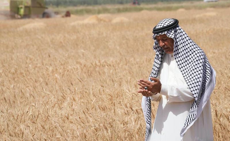 General Food Authority Pays First Installments to Wheat Farmers