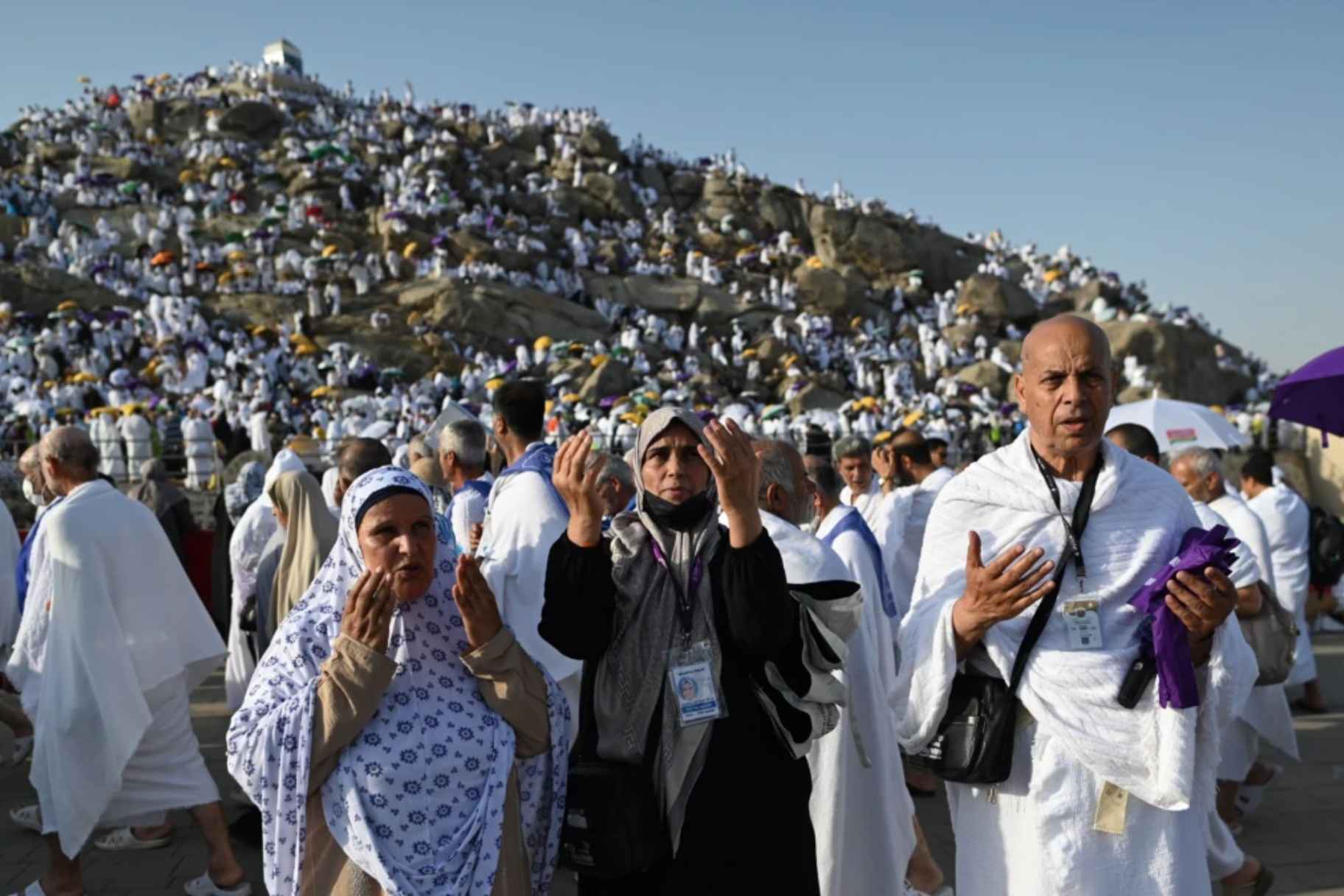 Egypt to Collect DNA Samples From Relatives of Missing Hajj Pilgrims