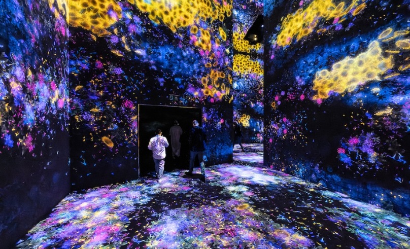 teamLab Borderless Museum in Jeddah Attracts Over 52,000 Visitors