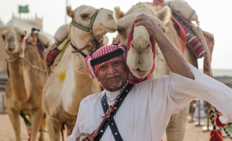 First-Ever Camel Studies Diploma Program Introduced in Saudi Arabia