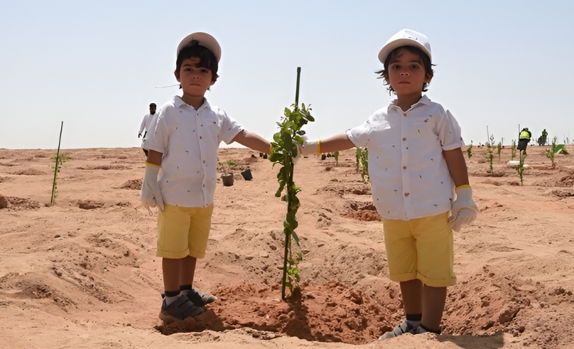 Makkah Launches Digital Tree-Planting Initiative to Boost Green Spaces