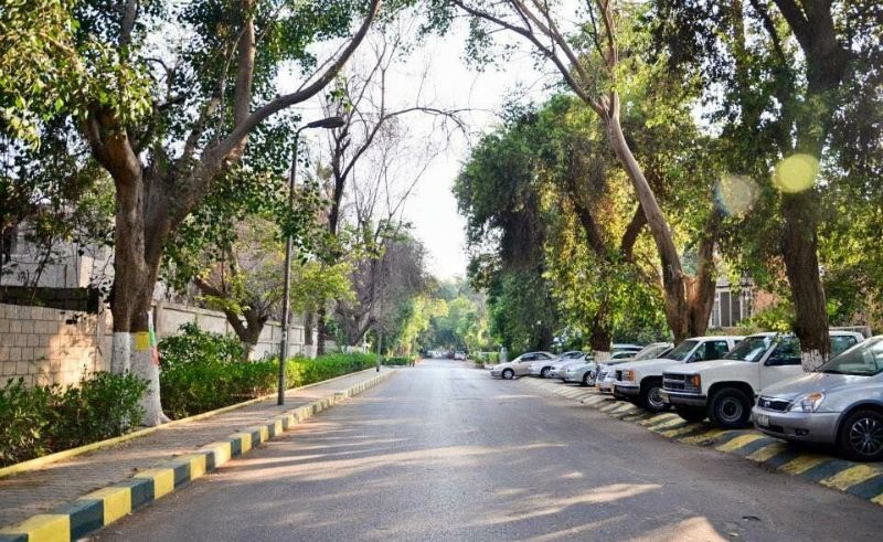 Ministry of Environment Advances Afforestation Initiatives in Egypt