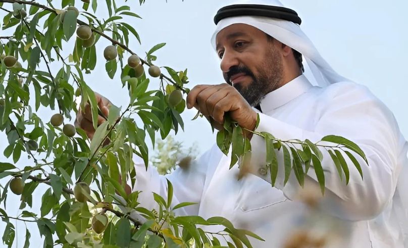 Almond Production City to Be Created Al Baha’s Al-Mandaq Region