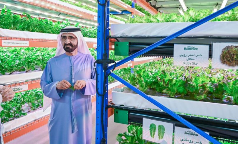 Sheikh Mohammed bin Rashid Launches 'Plant the Emirates' Project