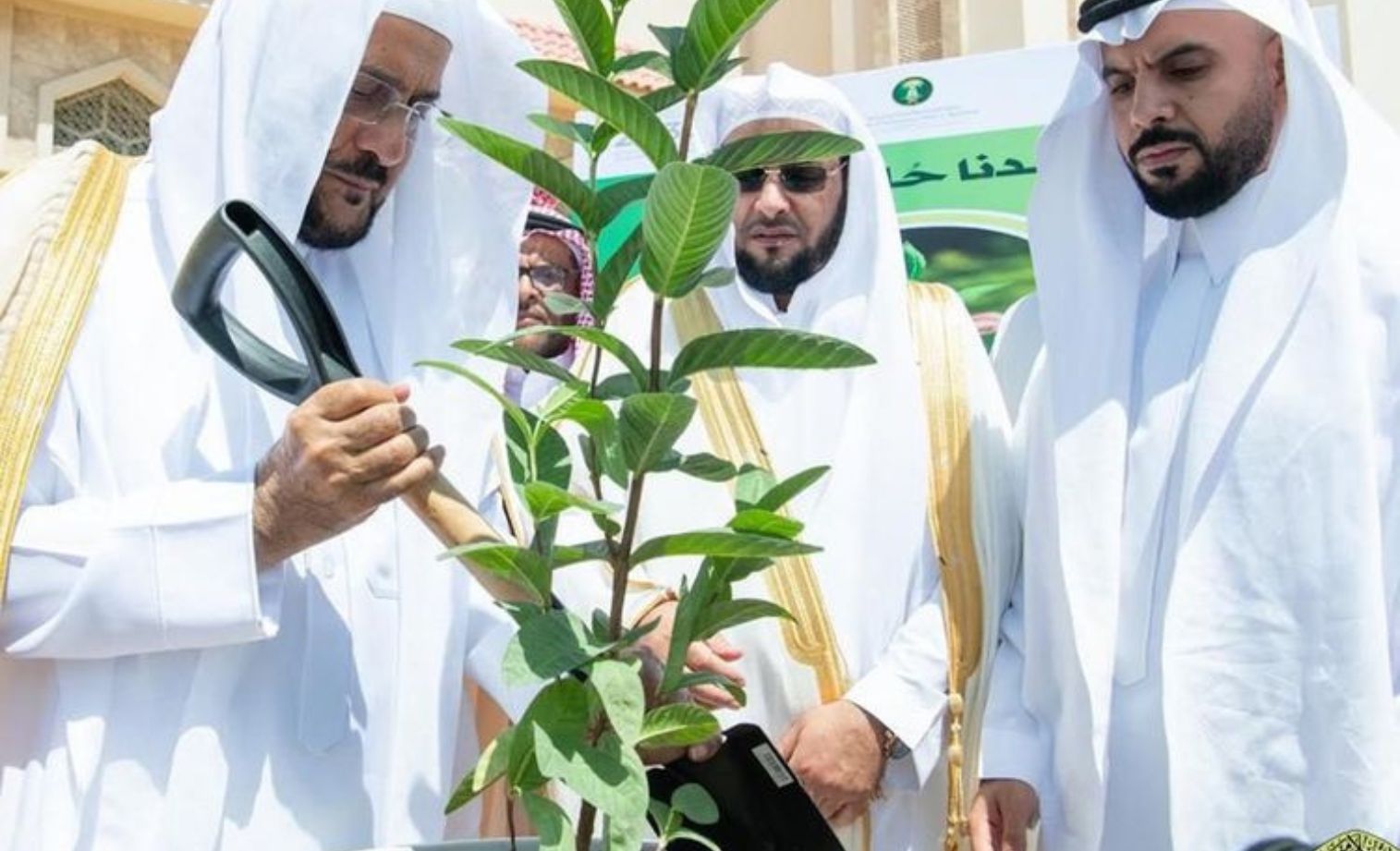 New 'Our Mosques are Green' Initiative to Plant 50,000 Trees