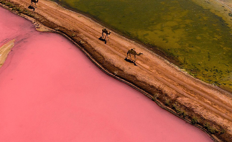 These Alien-Like Pink Lakes Are Concealed Within the Omani Desert