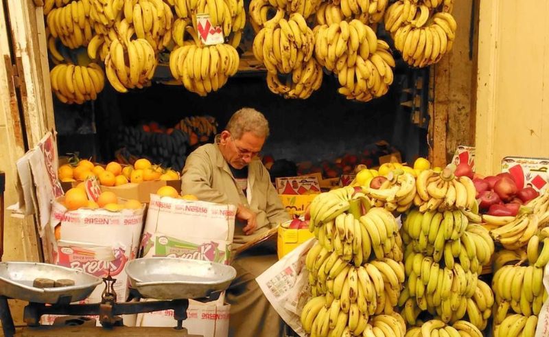 New Factory to Convert Banana Waste Into Eco-Friendly Packaging