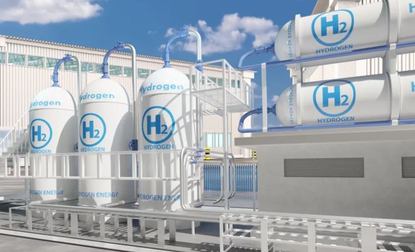 Kingdom Prepares for Global Green Hydrogen Exports Amid Economic Diver