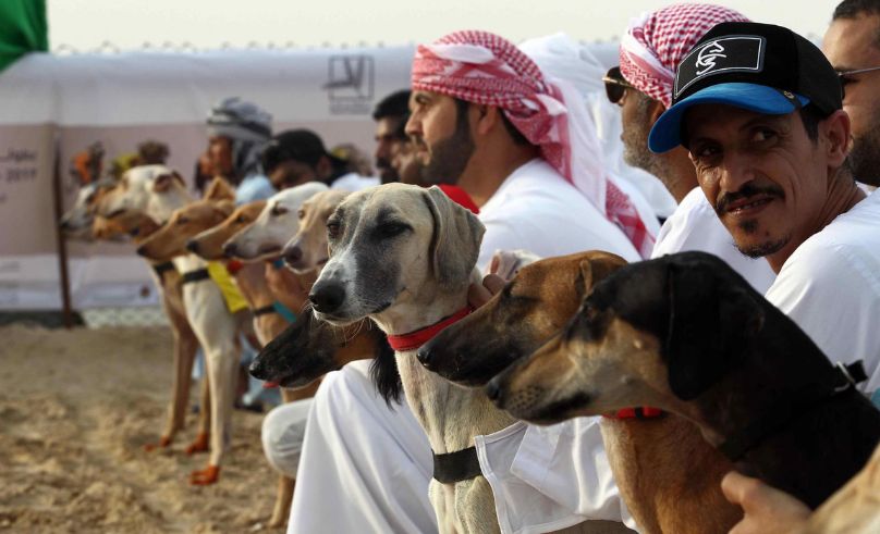 Dogs Take Centre Stage at Riyadh Season With Races & Competitions