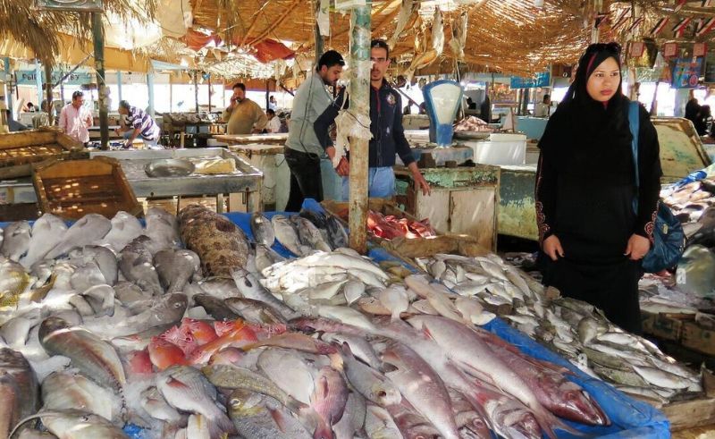 Seafood Exports From Egypt to Europe Resumed After Three-Year Hiatus