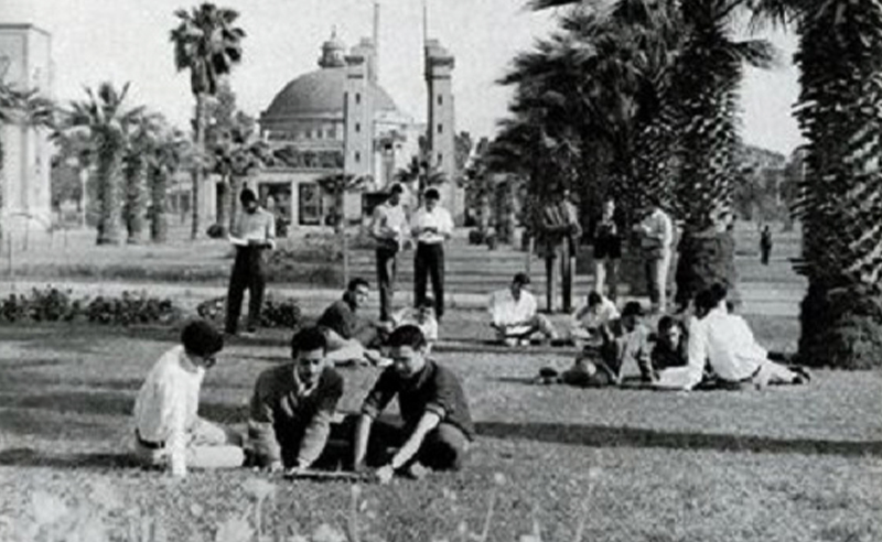 Cairo University in Cinema: Reflecting Dreams, Divisions & Identity