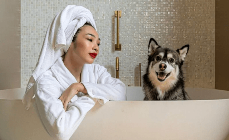 How to Spend the Day With Your Dog in Dubai