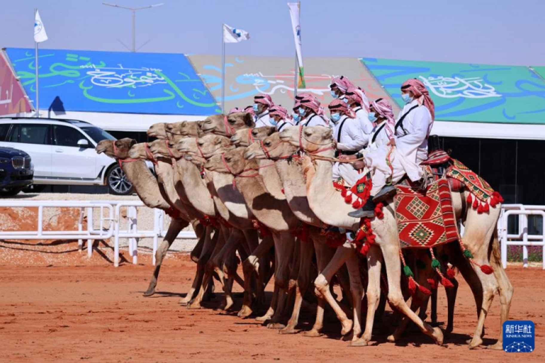 King Abdulaziz Camel Festival Begins With SAR 85 Million Prize