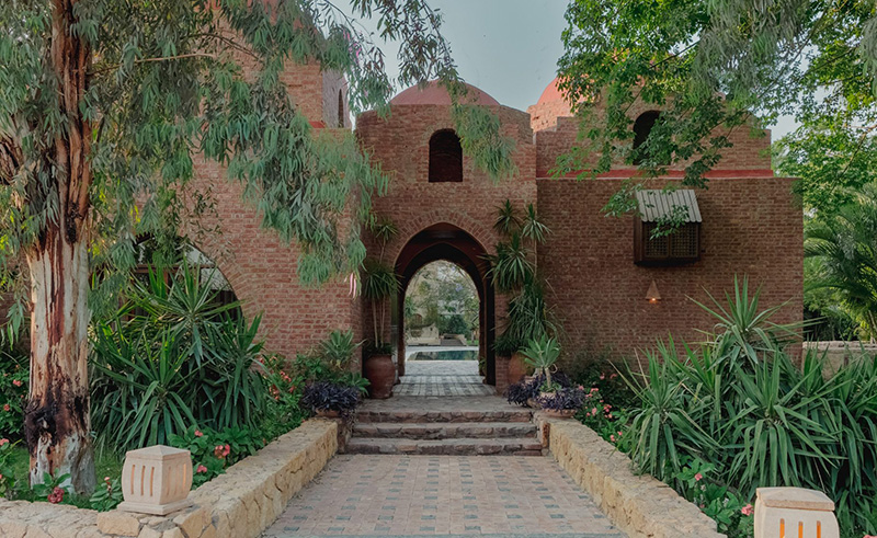 Inside Nūt, the Boutique Farming Lodge on Cairo’s Eastern Fringes