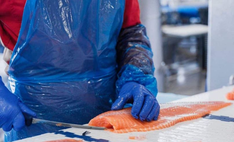 Middle East’s Largest Salmon Production Facility Inaugurated in Hail