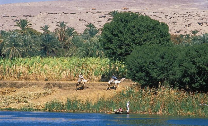 Revenues From Egyptian Nature Reserves Surged 40% in 2024