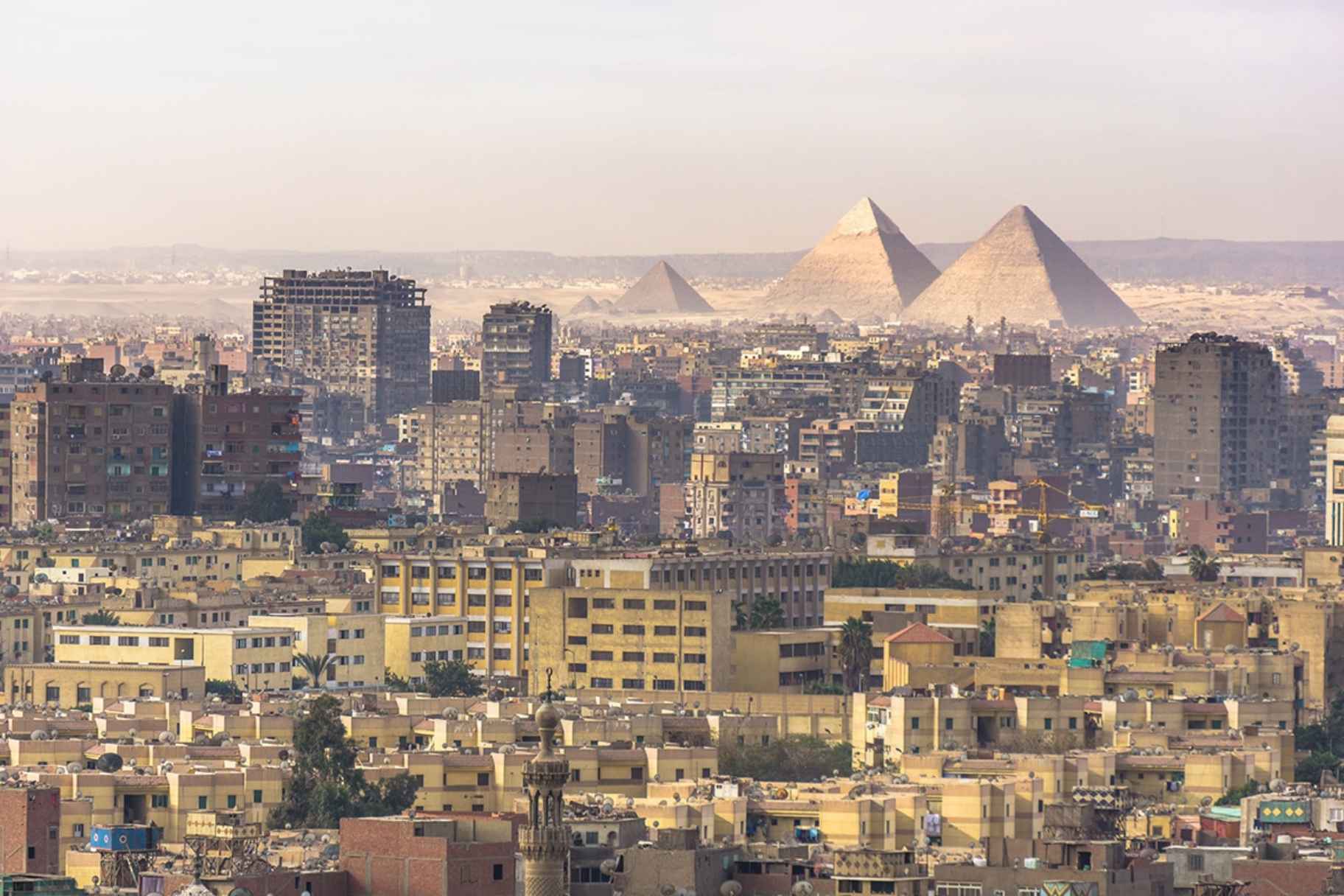 Egypt to Receive USD 1.2 Billion This Month Through IMF Programme