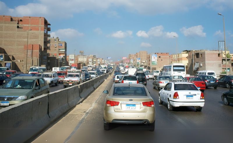 ‘100 Million Trees’ Project Begins Planting at Cairo Ring Road