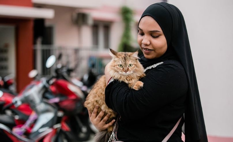 Pet Registration System Will Launch in Abu Dhabi in February 2025