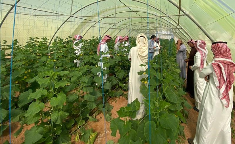 Saudi-Based Arable Raises $2.55M to Advance Sustainable Farming