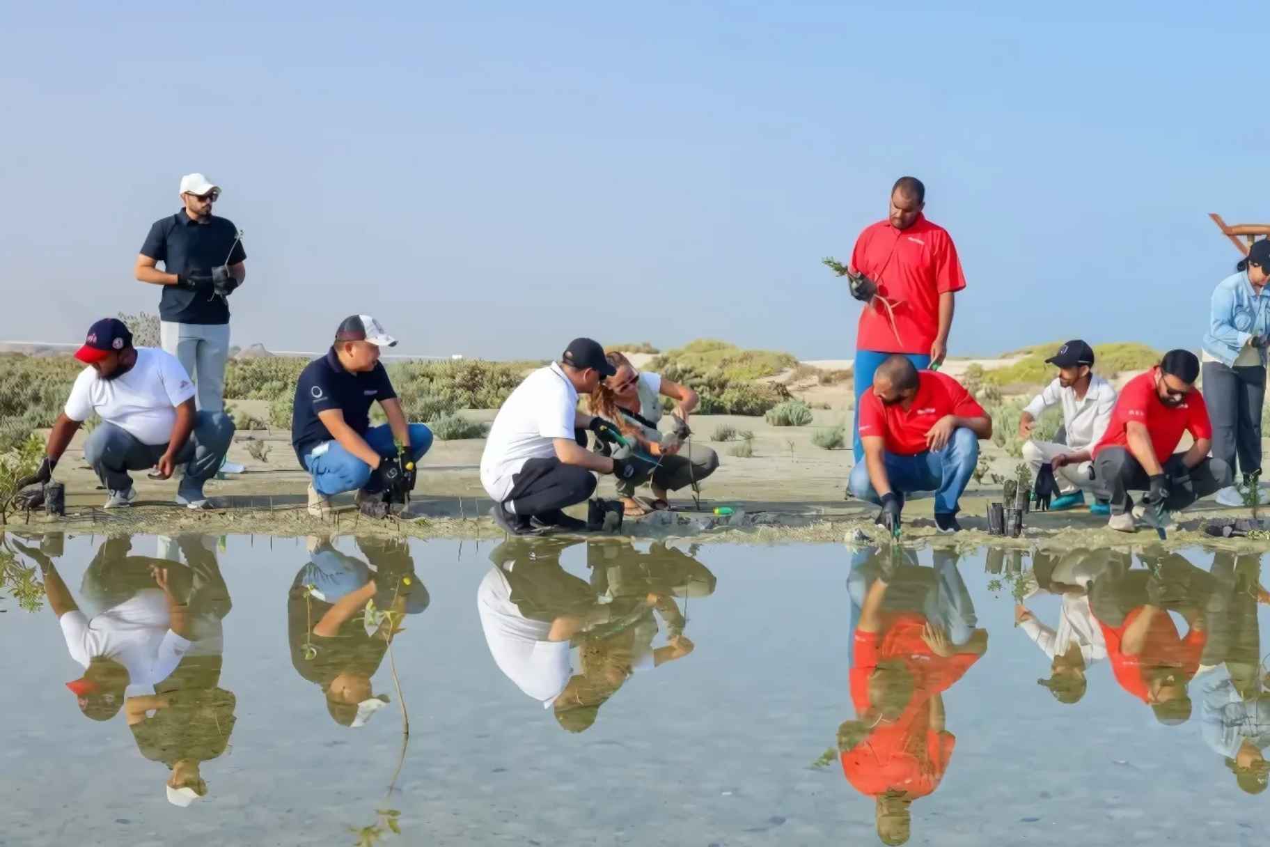 6,850 Mangrove Trees Planted in Jebel Ali Sanctuary