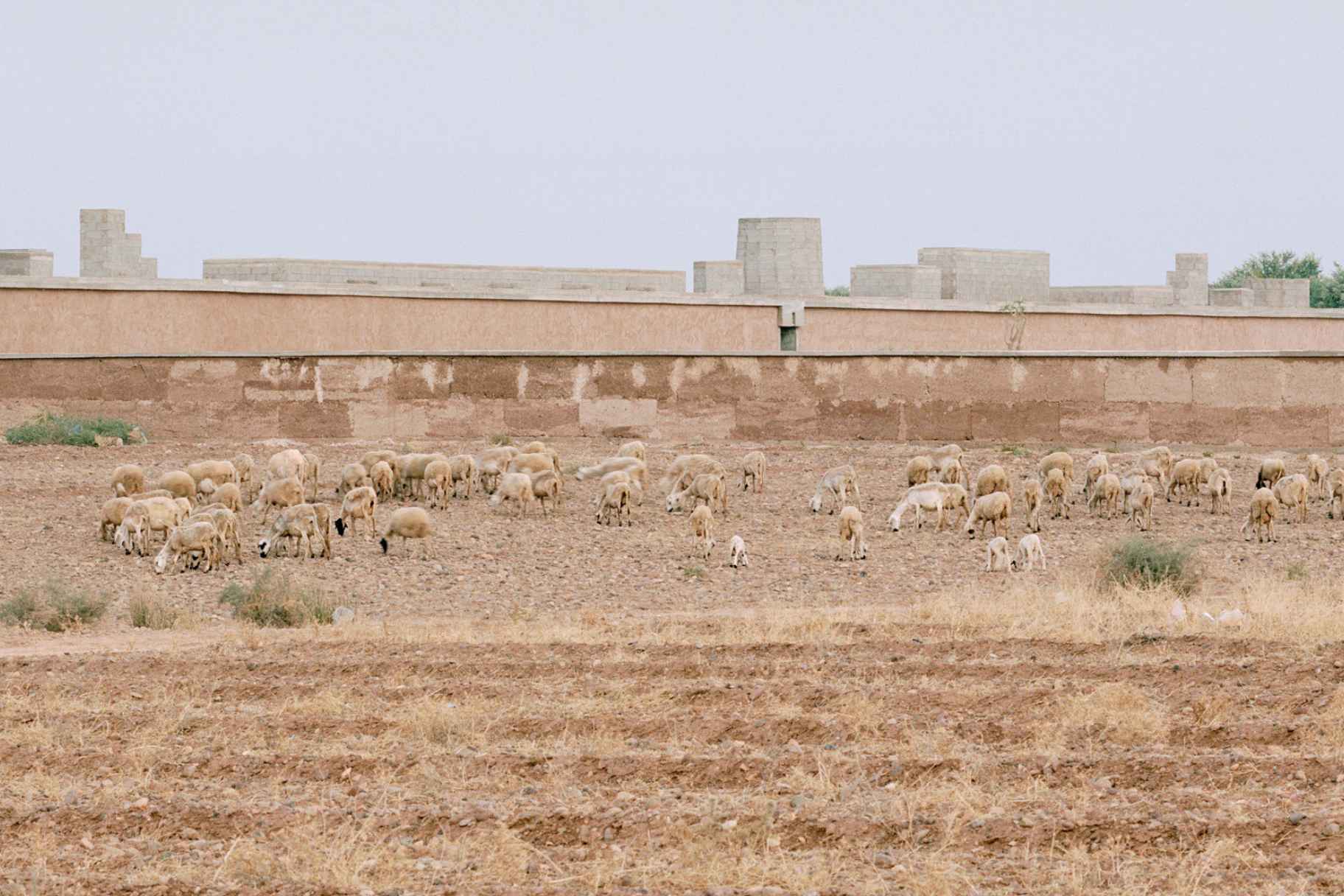 Leopold Banchini Crafts Ethereal Dar El Farina Residence in Morocco